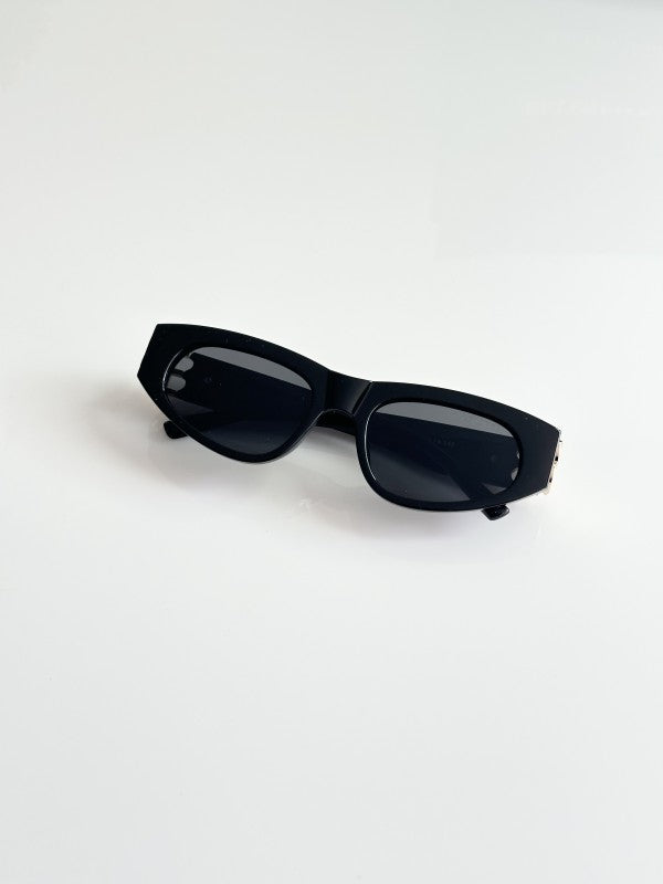 Balenciiaga Primium Unisex Gold and Black Sunglasses