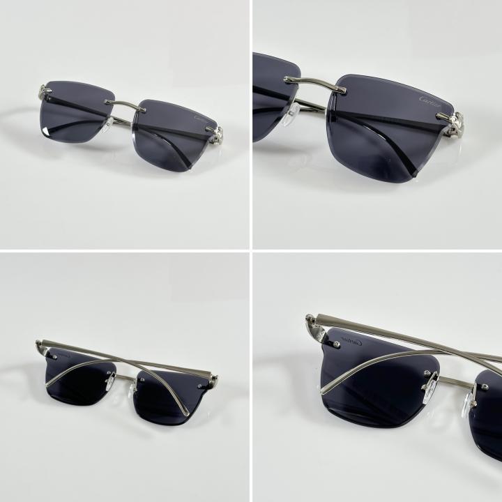 Cartierr Primium Silver and Black Sunglasses